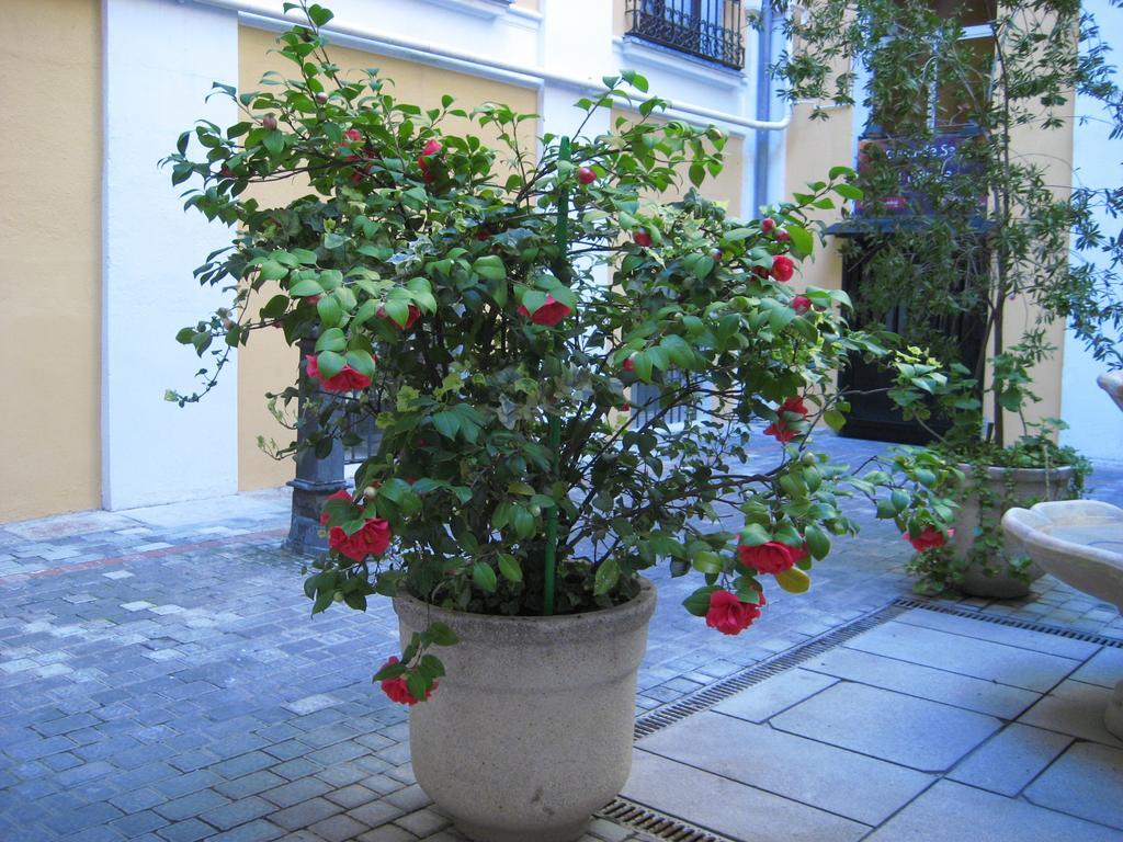 Hostal Huespedes Toledo Madrid Bagian luar foto
